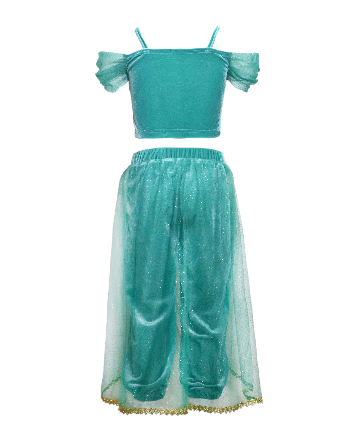 The Arabian Princess Costume Dress - back