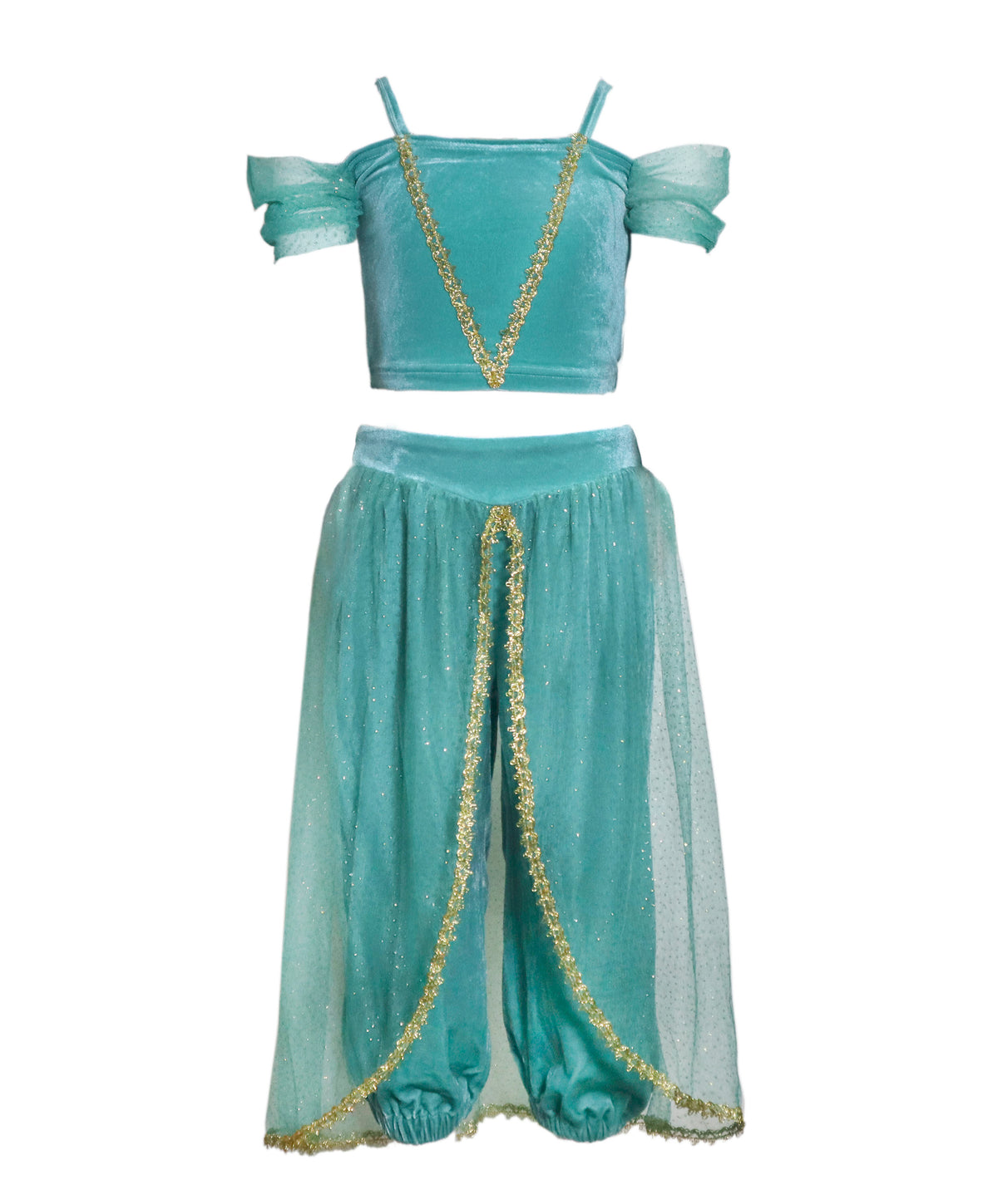 The Arabian Princess Costume Dress - front
