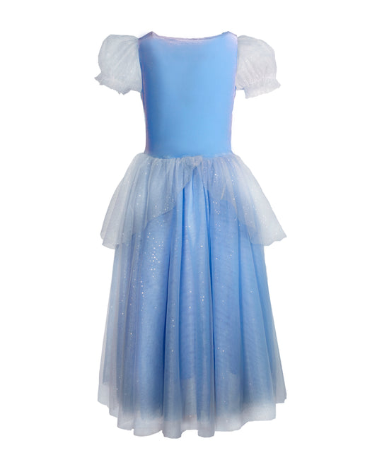 The Princess Cinderella Blue Costume Dress - back